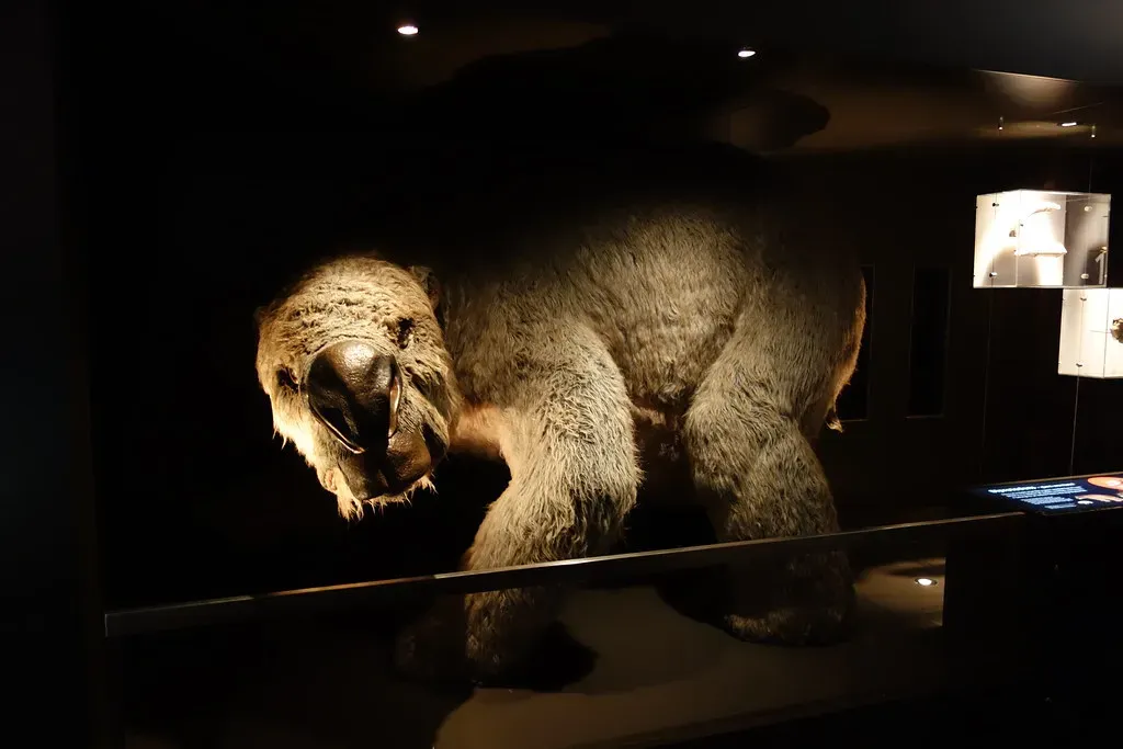 Diprotodon – The Steady Provider Who Thinks in Terms of Resources (goosmurf, Flickr, CC BY 2.0)