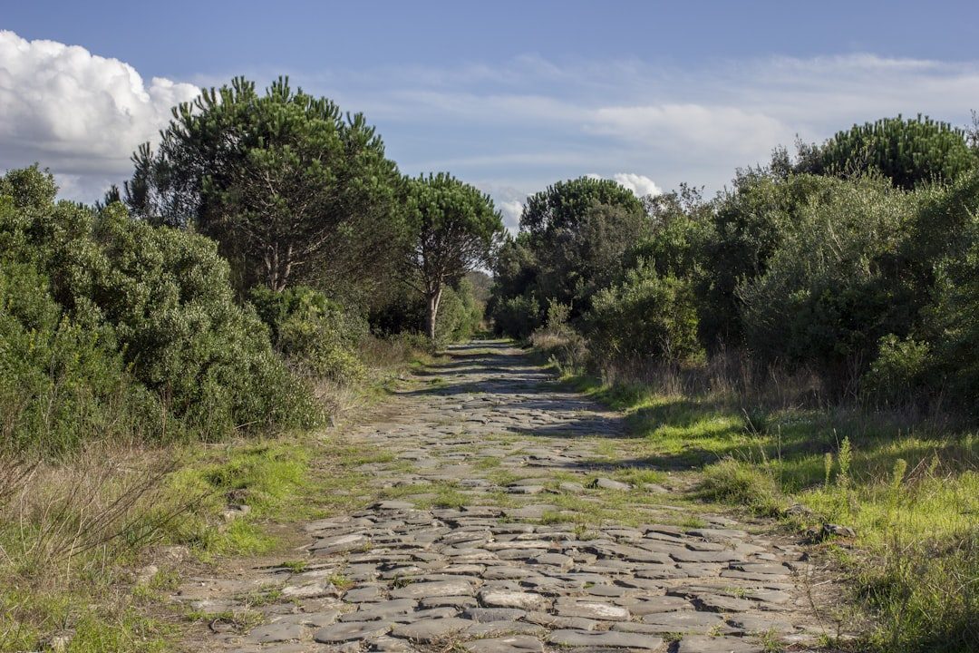 The Via Appia: Queen of Roads (Image Credits: Unsplash)
