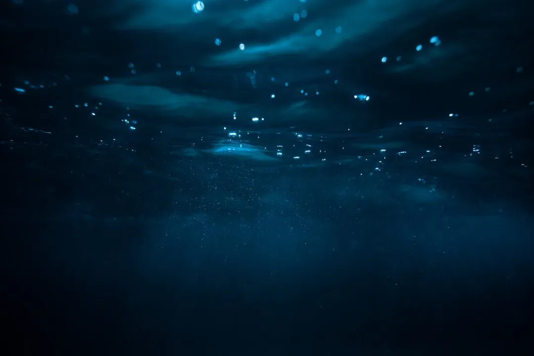 The Food Chain Works Without Sunlight, and You Would Not Expect How (Image Credits: Unsplash)