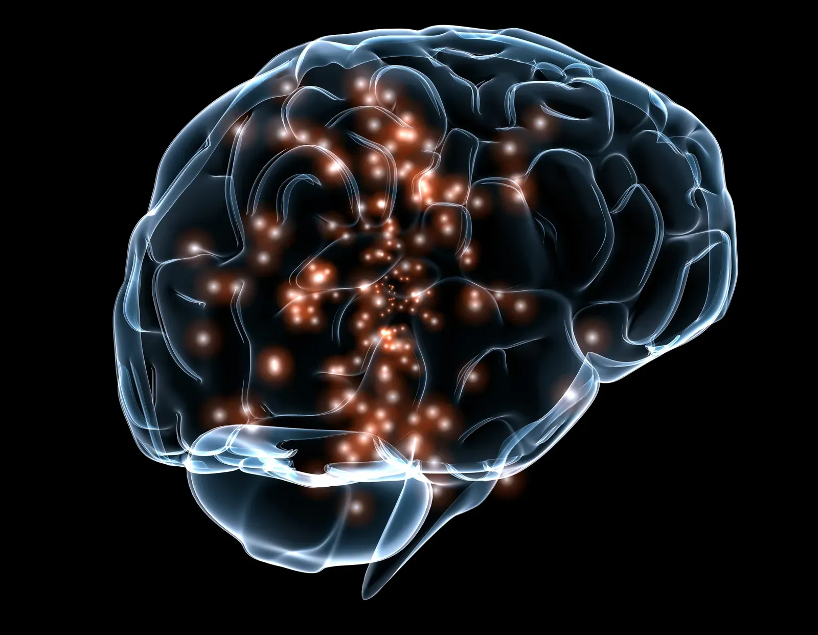 The Hidden Clues Inside a Conscious Brain (Image Credits: Wikimedia)