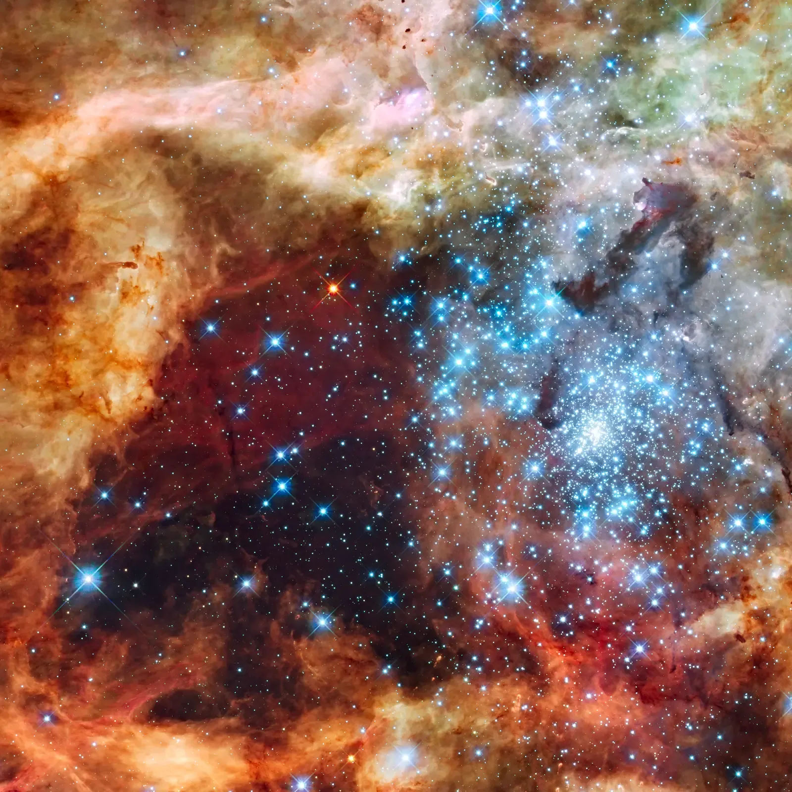 A Universe That Enriched Itself (Image Credits: Wikimedia)