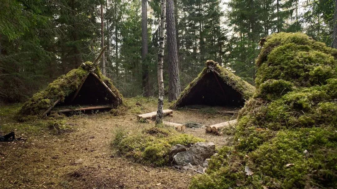 14. The Neolithic “Mega-Sites” of Eastern Europe: Cities Before Cities? (Image Credits: Unsplash)