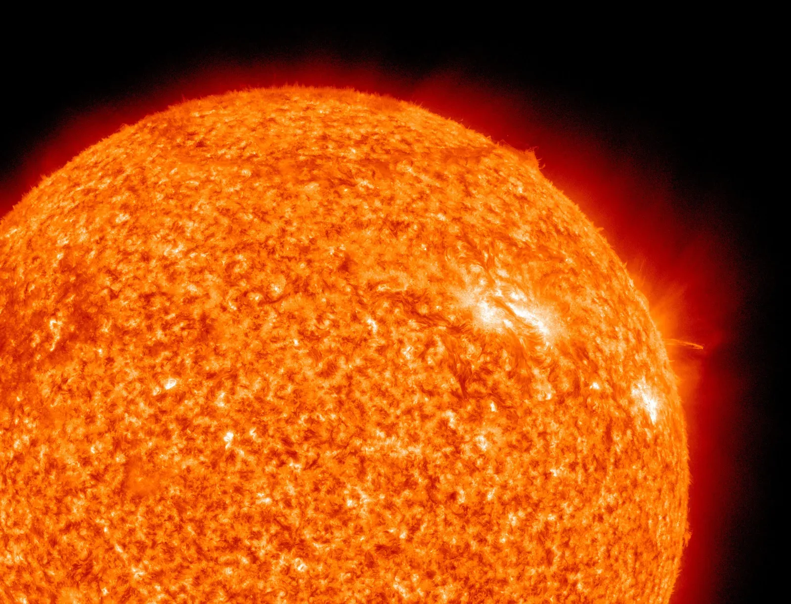 The Solar Cycle Is a 11-Year Rhythm That Shapes Space Weather (Image Credits: Wikimedia)