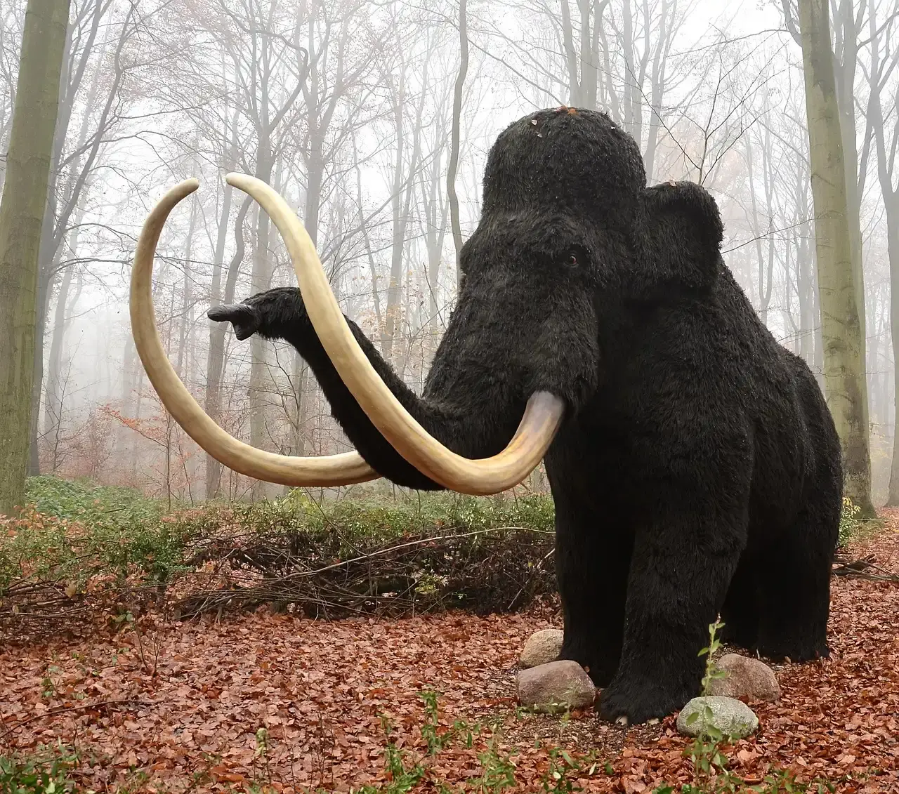 Conclusion: What These Lost Species Say About Us (Image Credits: Pixabay)