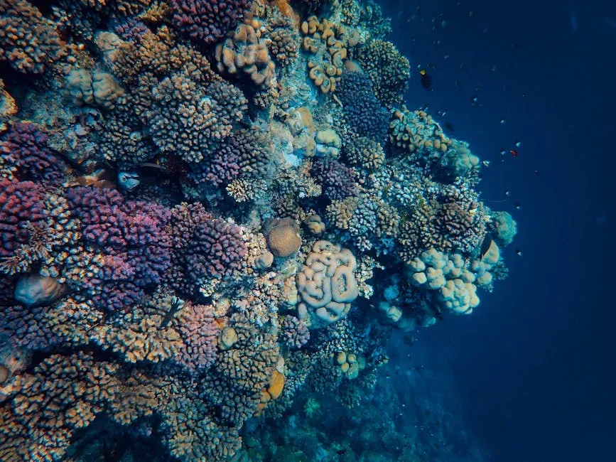 Deep Subsurface Biospheres Beneath the Seafloor (Image Credits: Pexels)