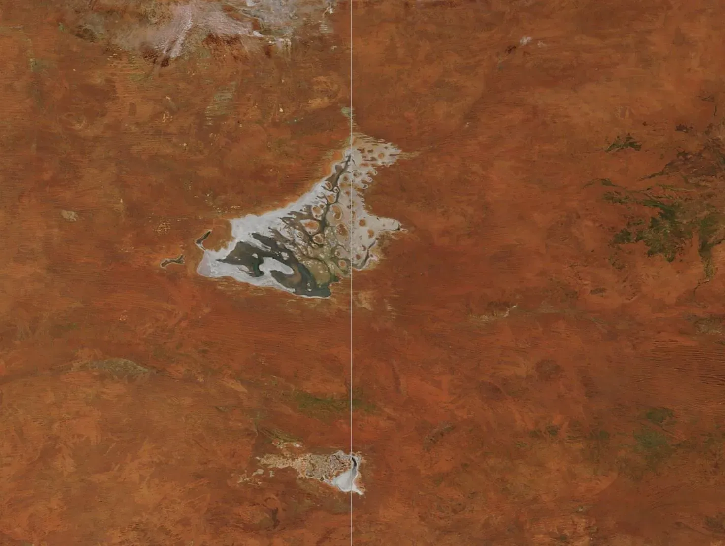 A Lake That Turns Creatures to “Stone” (Image Credits: Wikimedia)