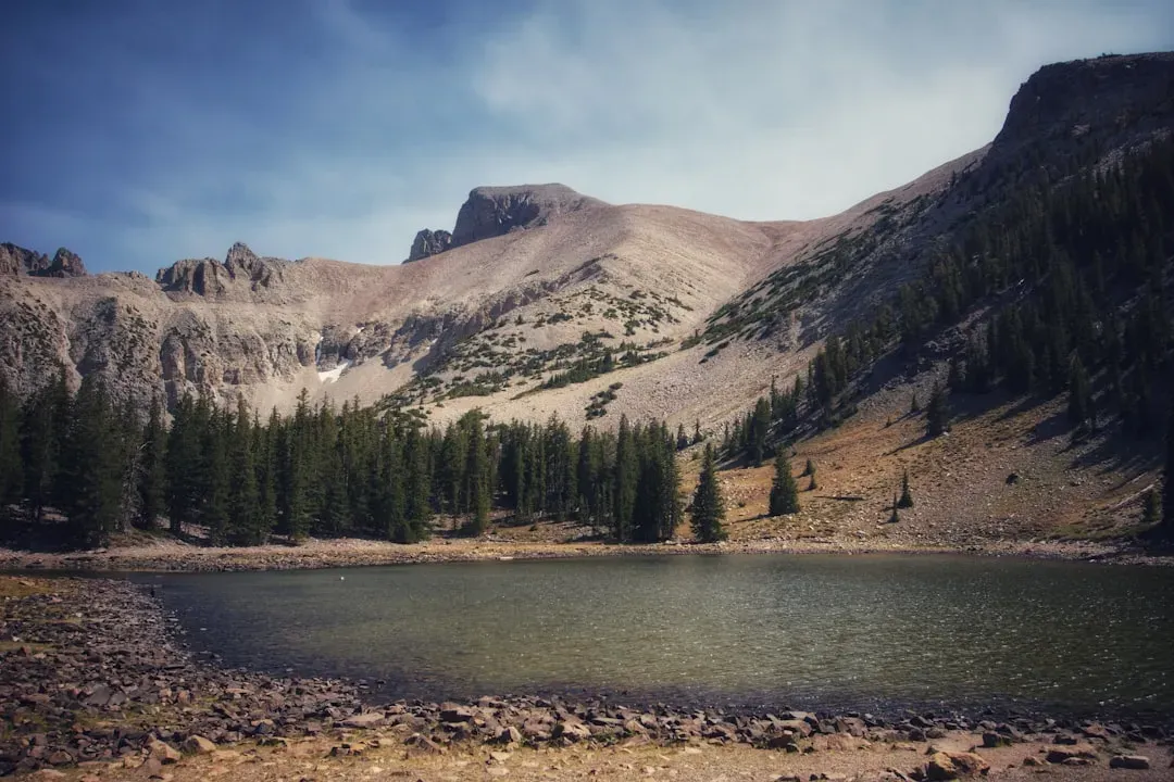 Great Basin National Park, Nevada (Image Credits: Unsplash)