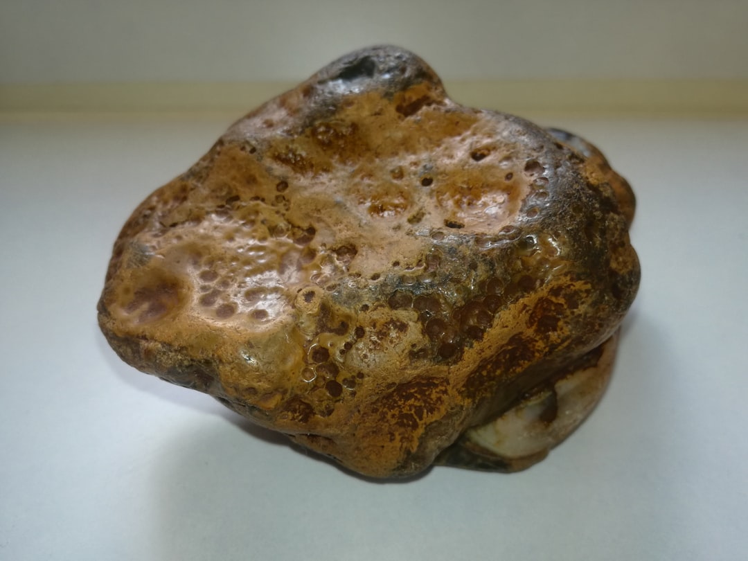 Modern Research and Future Investigations (Image Credits: Unsplash)