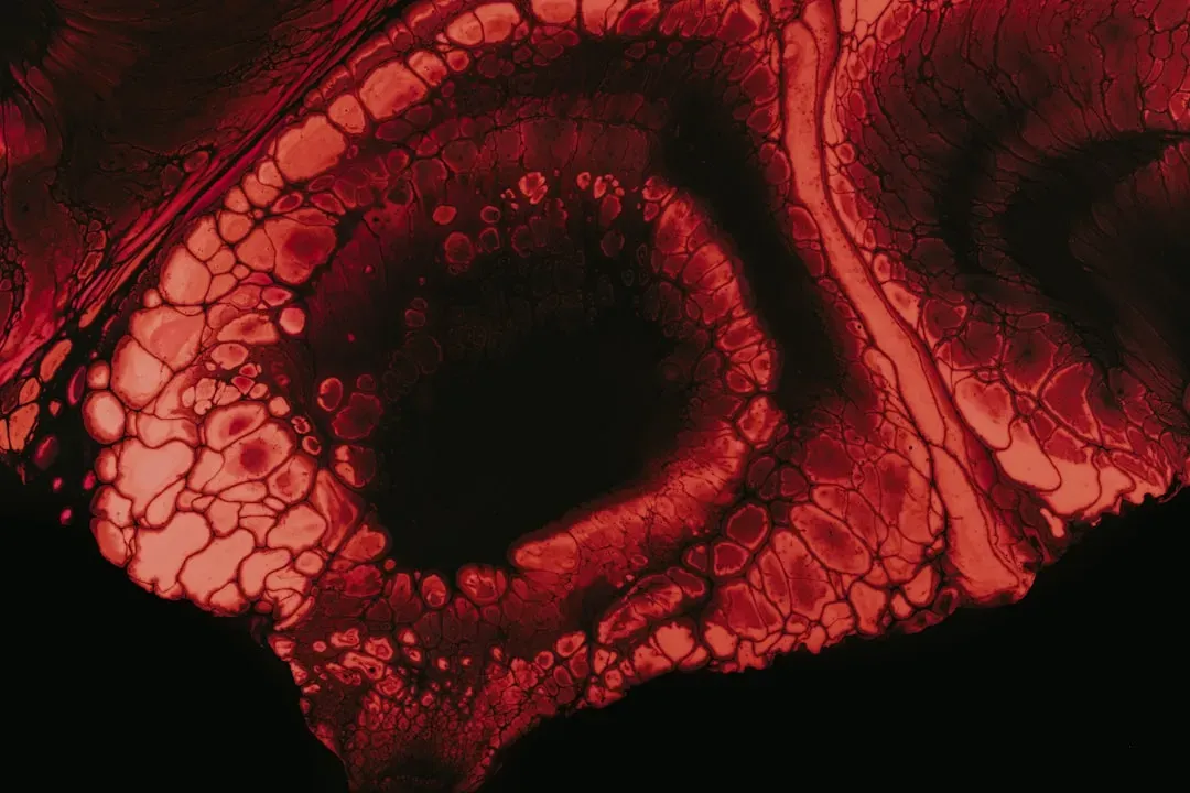 The Origin of Life: From Chemistry to Biology (Image Credits: Unsplash)