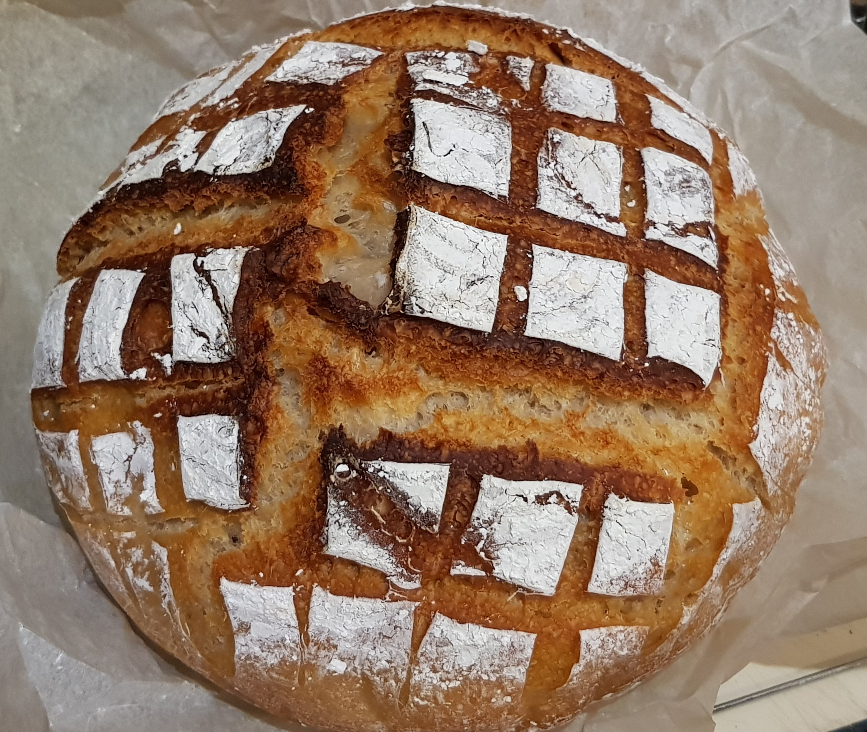 Sourdough: The Ancient Art of Bread Fermentation (image credits: wikimedia)