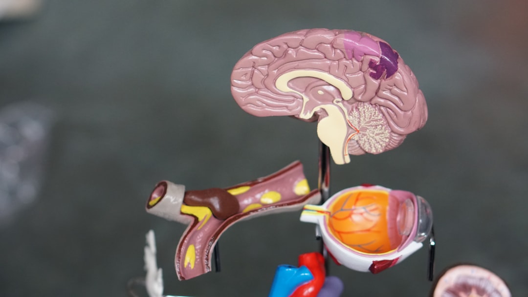 Cognitive Enhancement Through Microbiota-Gut-Brain Axis (image credits: Gallery Image)