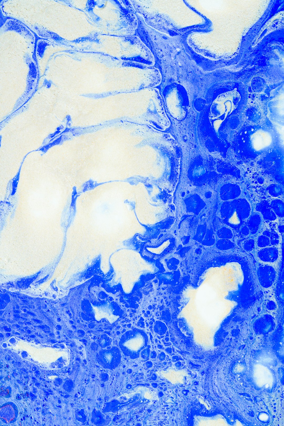 Tissue-Specific Autophagy Responses Vary Dramatically (image credits: unsplash)