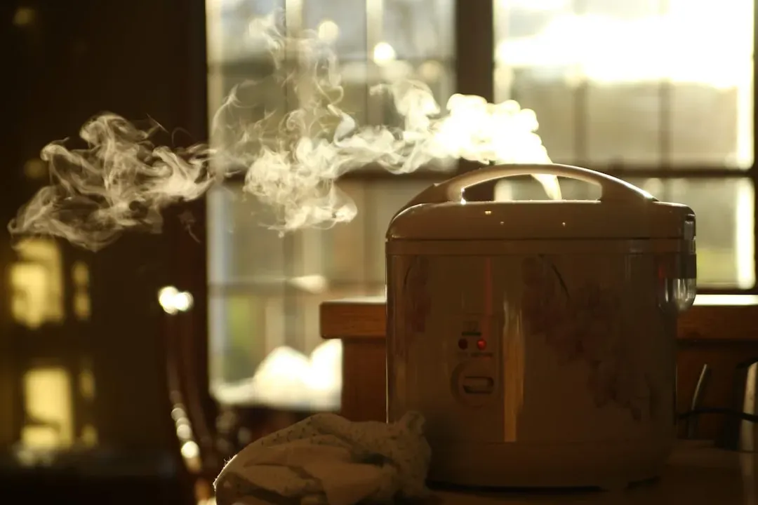 Energy efficiency compared to other cooking methods (Image Credits: Unsplash)