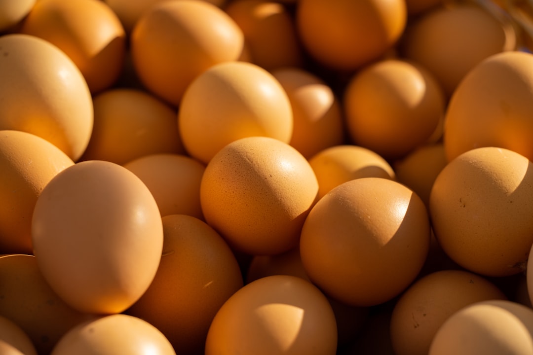 Complete vs Incomplete Proteins: Understanding the Difference (image credits: unsplash)