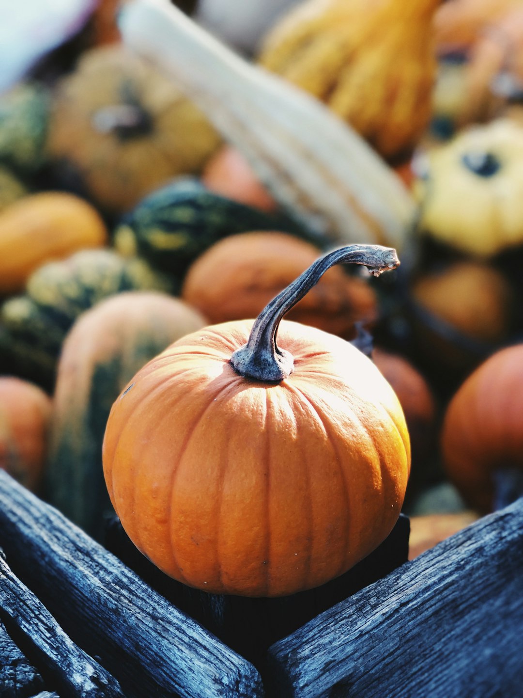 Seasonal Sensations: Pumpkin Spice and Holiday-Inspired Variations (image credits: unsplash)