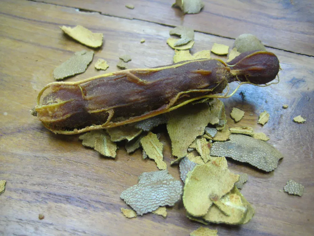12. Tamarind: The Condiment Fruit That's Loaded (neajjean, Flickr, CC BY-SA 2.0)