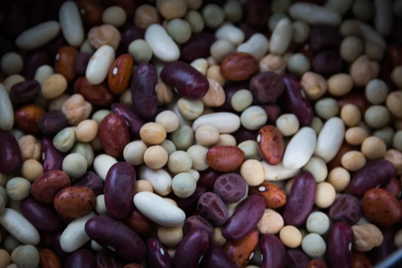 2. Dried Beans and Lentils: Protein Powerhouses for Pennies (Image Credits: Pixabay)