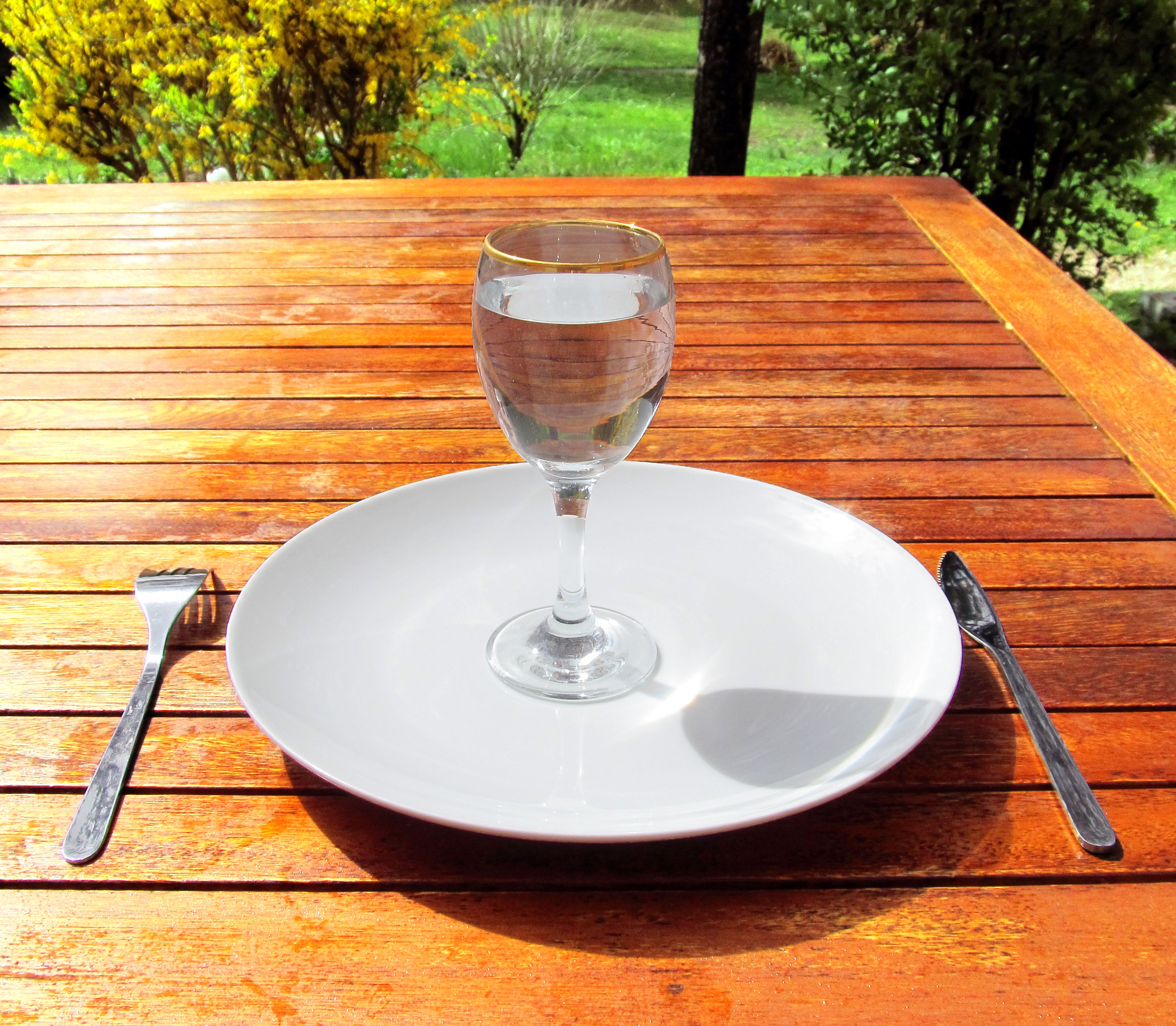Intermittent Fasting Resets Energy Patterns (image credits: By Dr Jean Fortunet, CC BY-SA 3.0, https://commons.wikimedia.org/w/index.php?curid=19045643)
