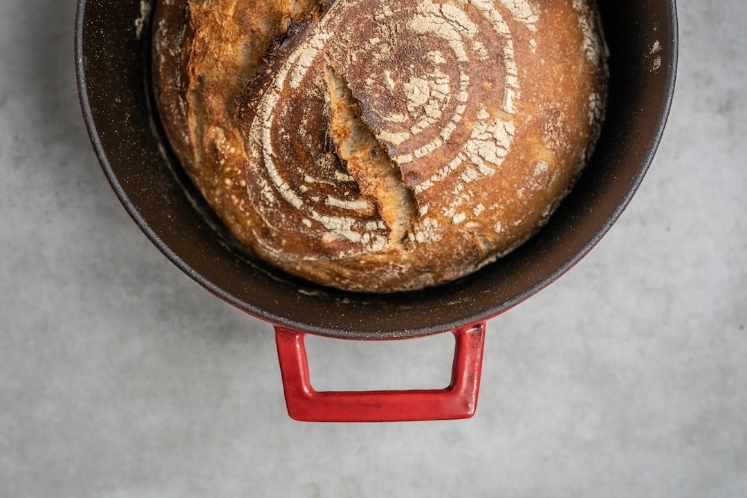Campfire Cooking Champion (image credits: unsplash)