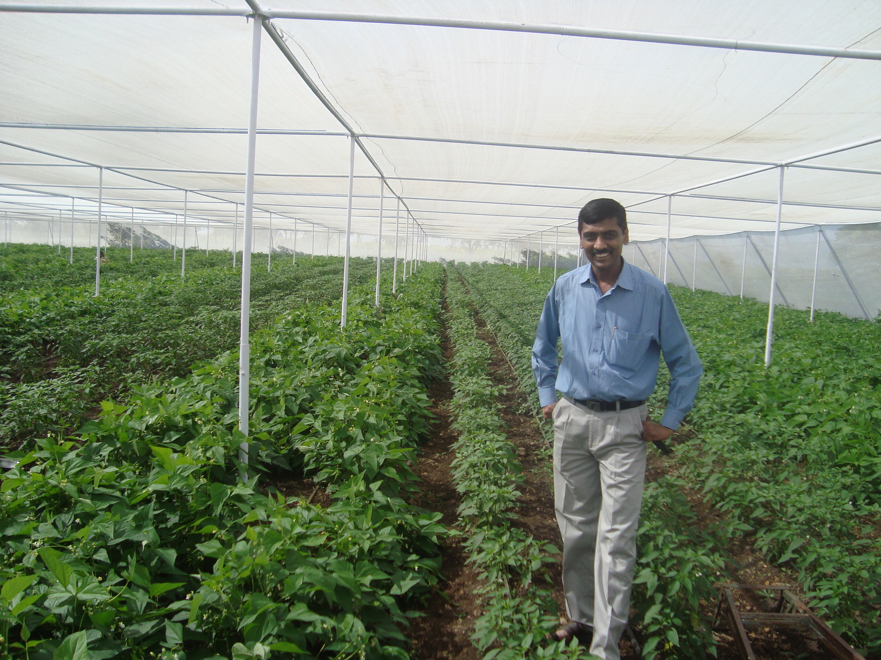 Sustainable Agriculture Practices Gain Momentum Through Technology Integration (image credits: wikimedia)