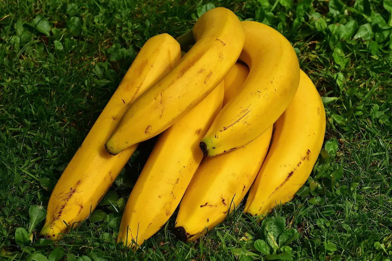 3. Banana: The Everyday Offender (Image Credits: Pixabay)