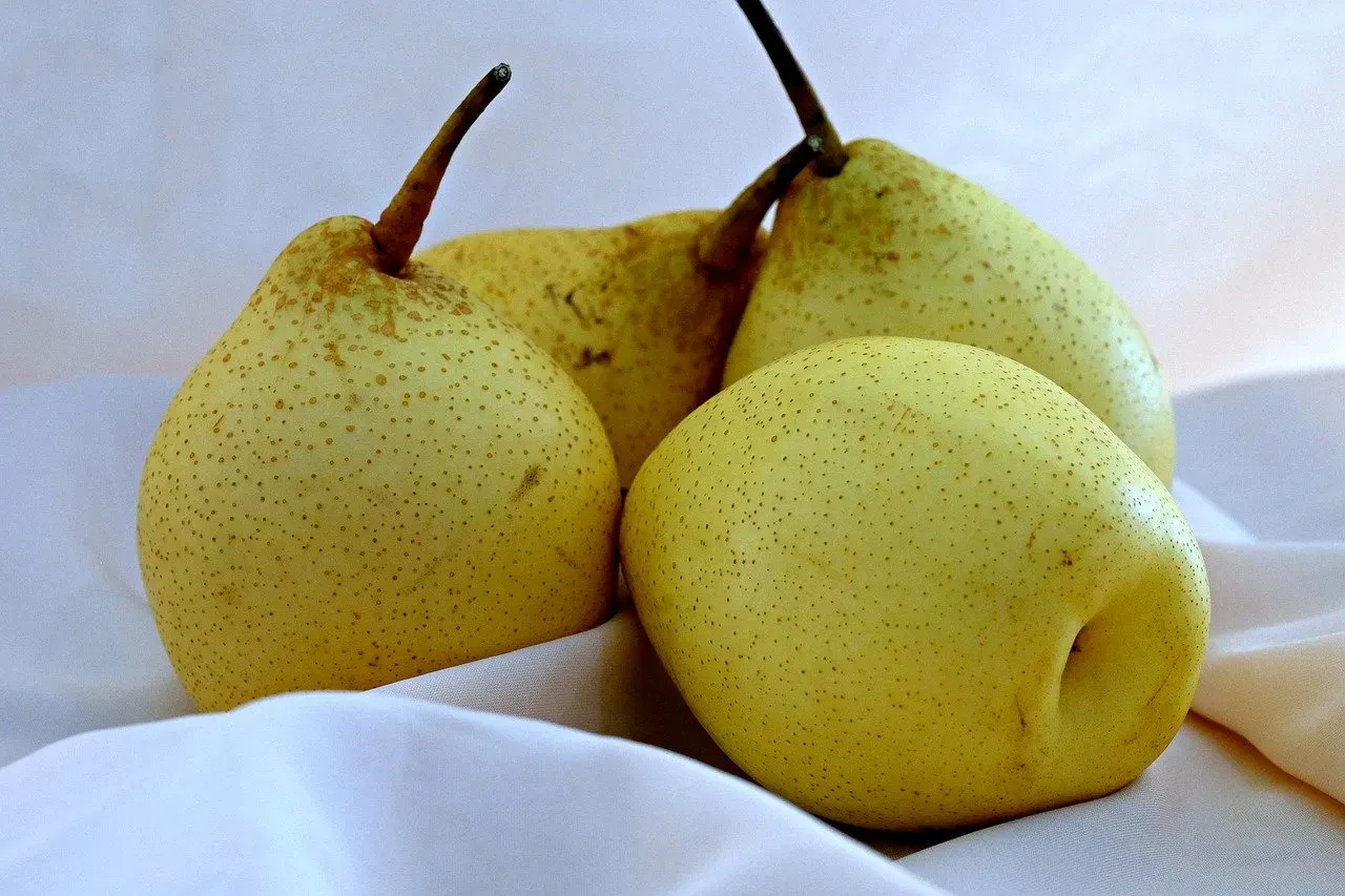 Pears: The Fiber Powerhouse You're Probably Overlooking (Image Credits: Pixabay)