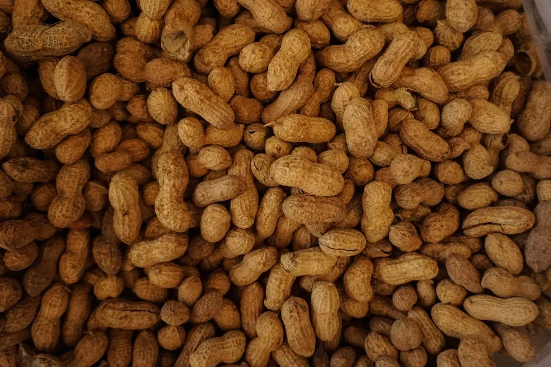 1. Boiled Peanuts - The Soggy Snack Southerners Can't Stop Eating (Image Credits: Unsplash)