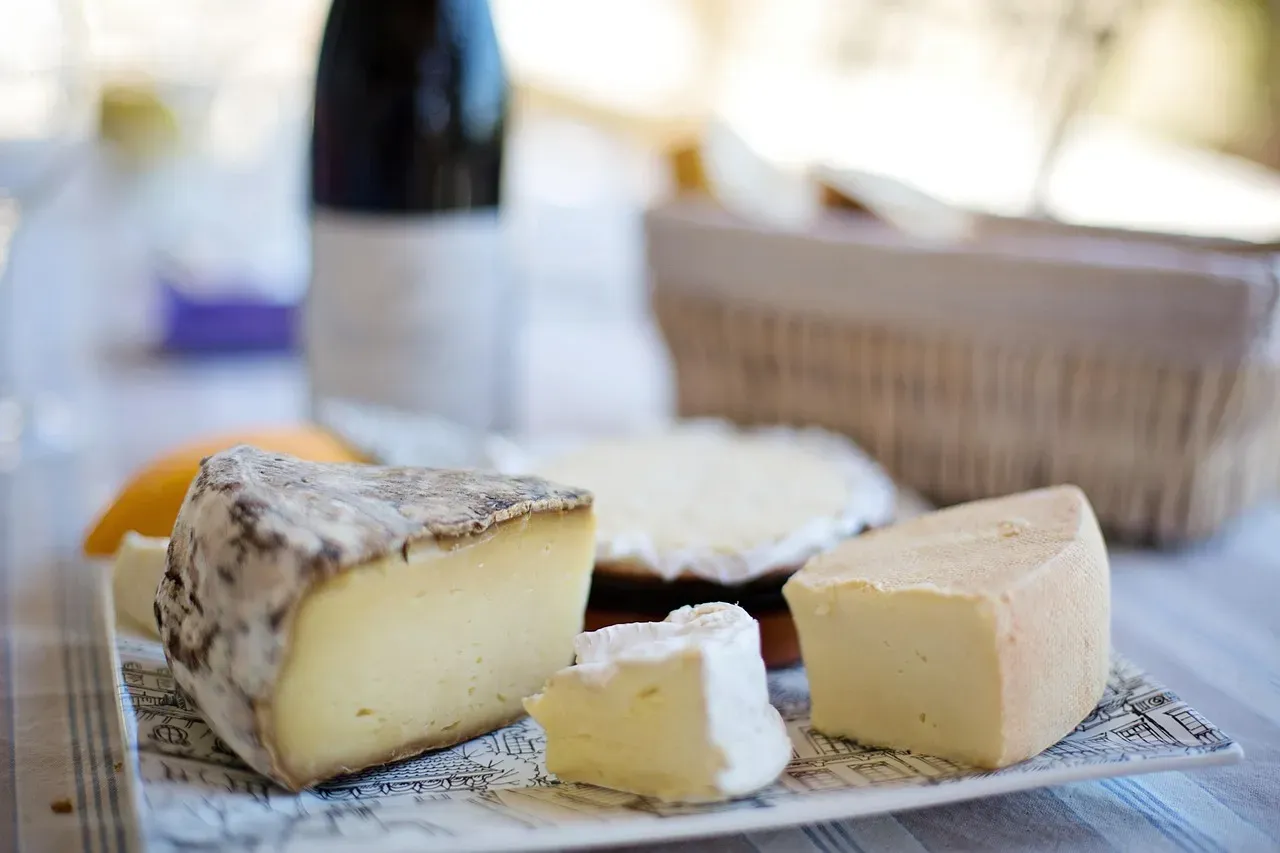 Unpasteurized and Soft Cheeses (Image Credits: Pixabay)