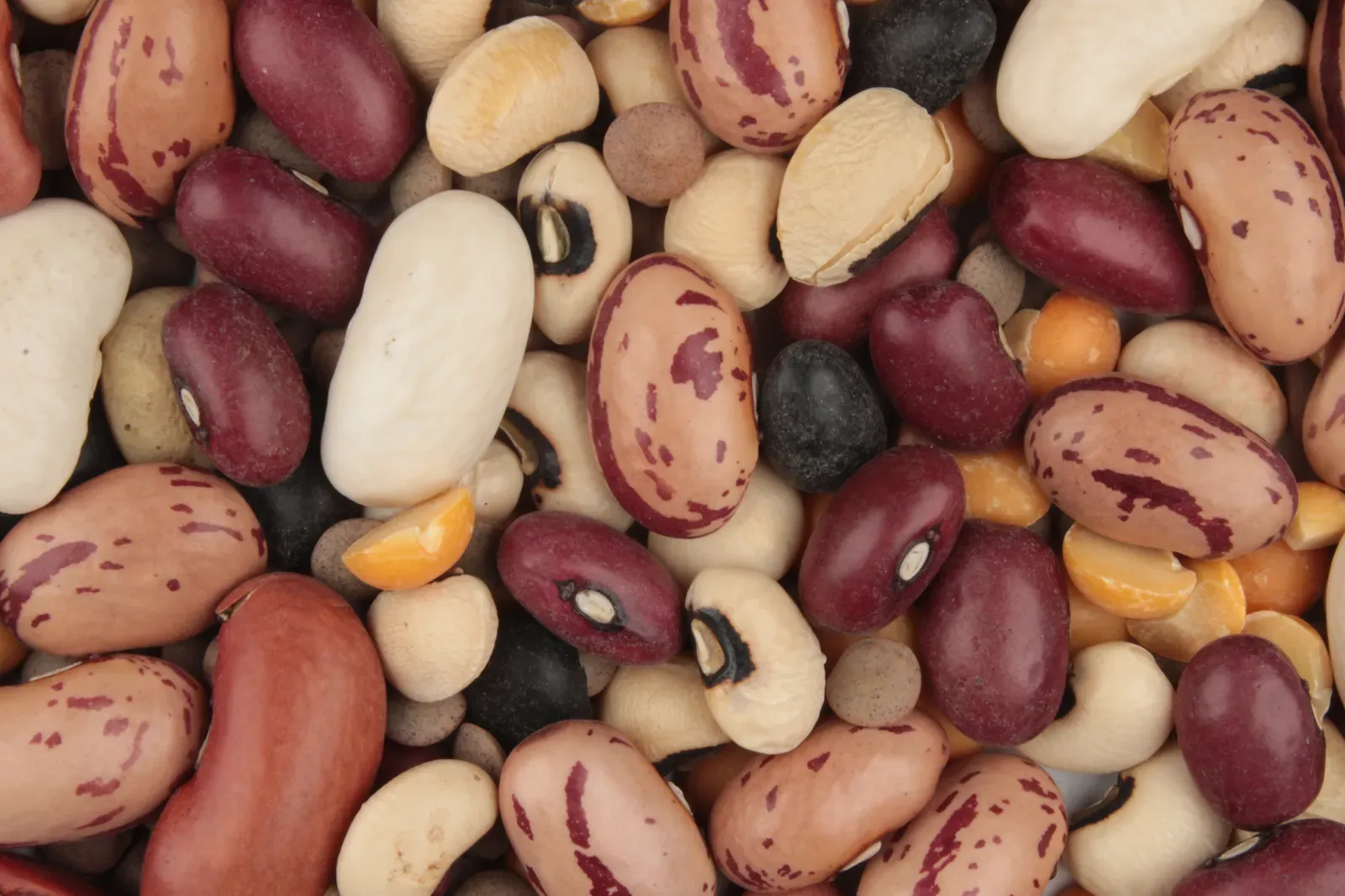 5. Dried Beans and Lentils: The Long-Haul Protein Source (Image Credits: Wikimedia)