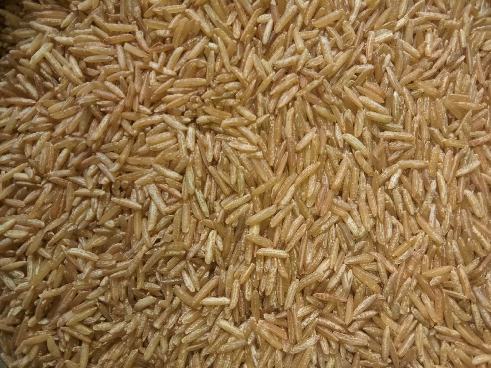 5. Brown Rice (Image Credits: Wikimedia)