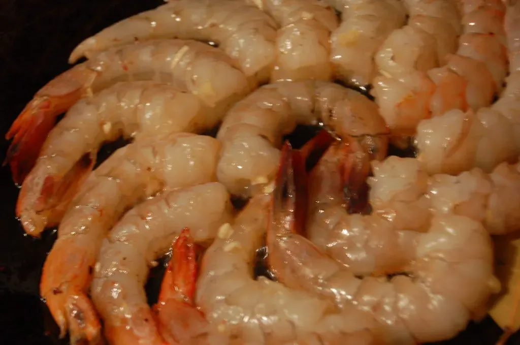 3. Tampa and St. Petersburg, Florida: Nearly Every Plate Is Not What It Claims (Image Credits: Flickr)