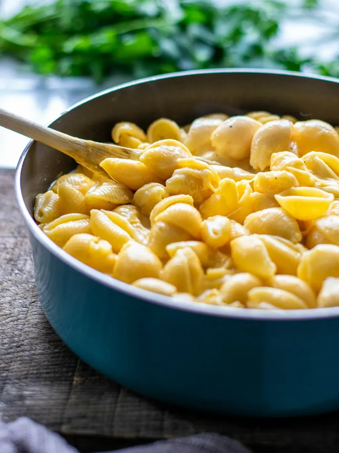 Mac and cheese (Image Credits: Unsplash)