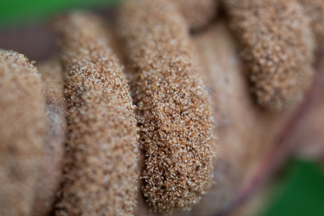 Future Food Security: Ancient Solutions for Modern Problems (image credits: unsplash)