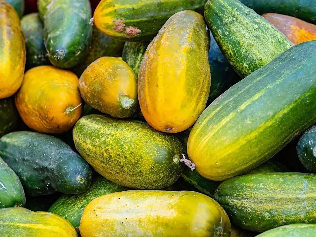 Breaking Free: Practical Steps to Escape the P-Trap (Image Credits: Unsplash)