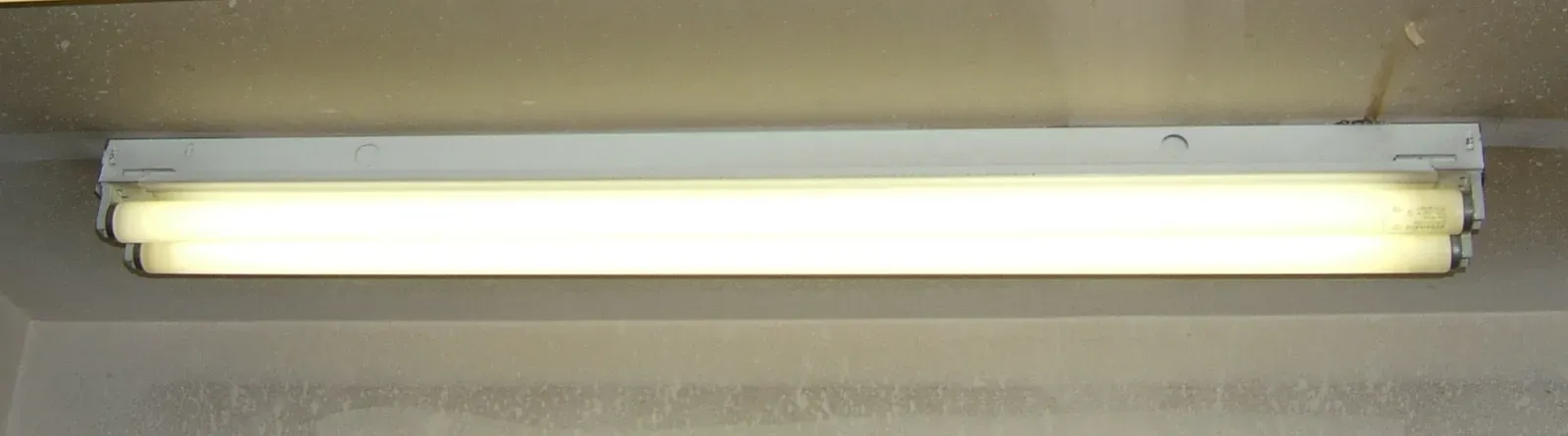 4. Fluorescent Box Lighting That Kills the Mood (By Chetvorno, CC0)