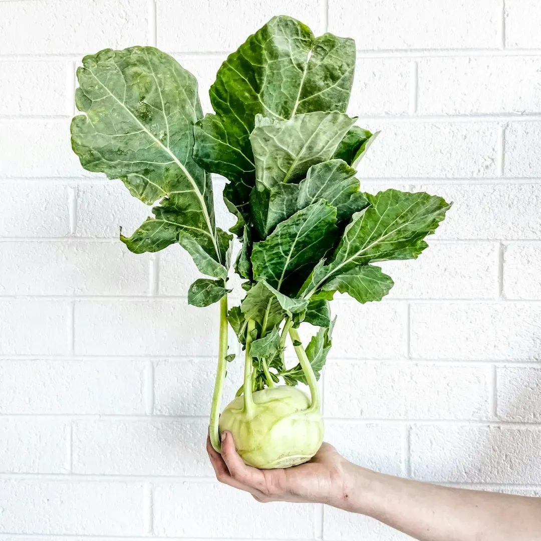 Kohlrabi (Image Credits: Unsplash)