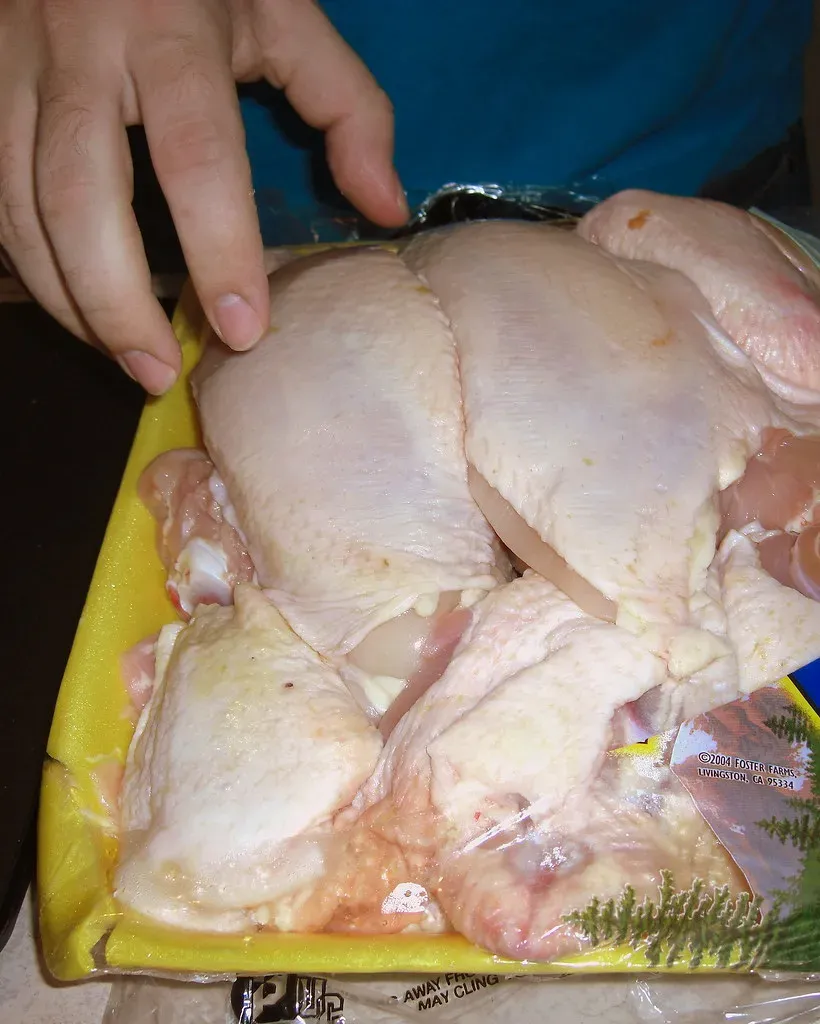 Every Major Health Authority in the World Agrees: Stop (OctopusHat, Flickr, CC BY-SA 2.0)