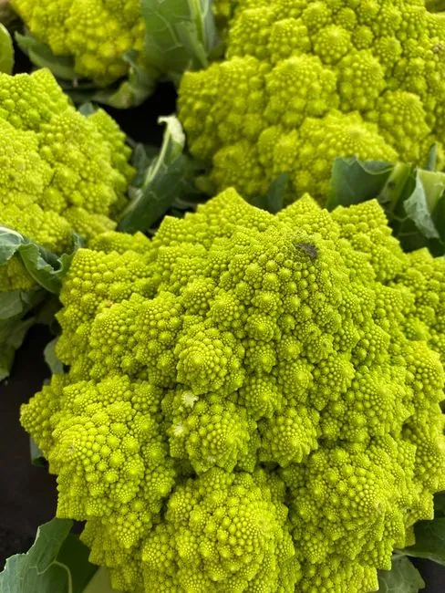 Romanesco Broccoli (Image Credits: Pexels)