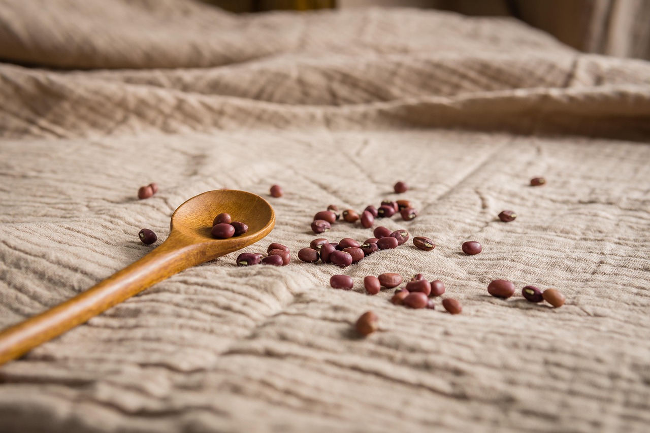 The Protein Power Play: Complete vs Incomplete (image credits: pixabay)