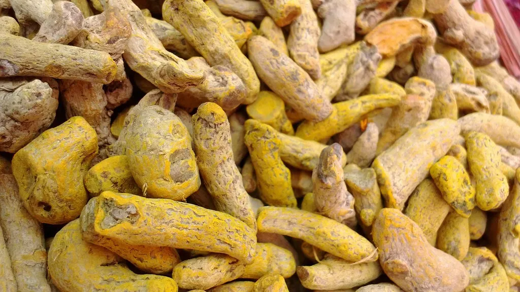 7. Turmeric: The Golden Spice With Decades of Evidence Behind It (Image Credits: Flickr)
