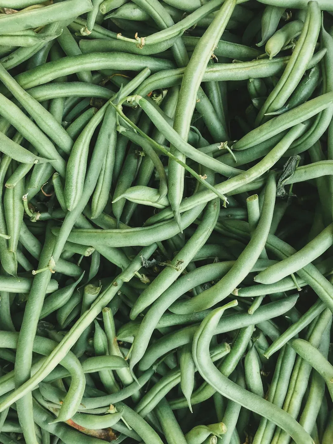 9. Green Beans: The Saponin-Rich Superfood for LDL Reduction (Image Credits: Unsplash)