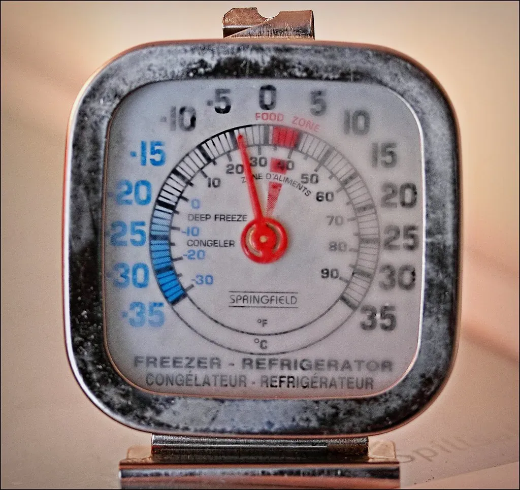 4. Ignoring the Refrigerator Temperature (Image Credits: Flickr)