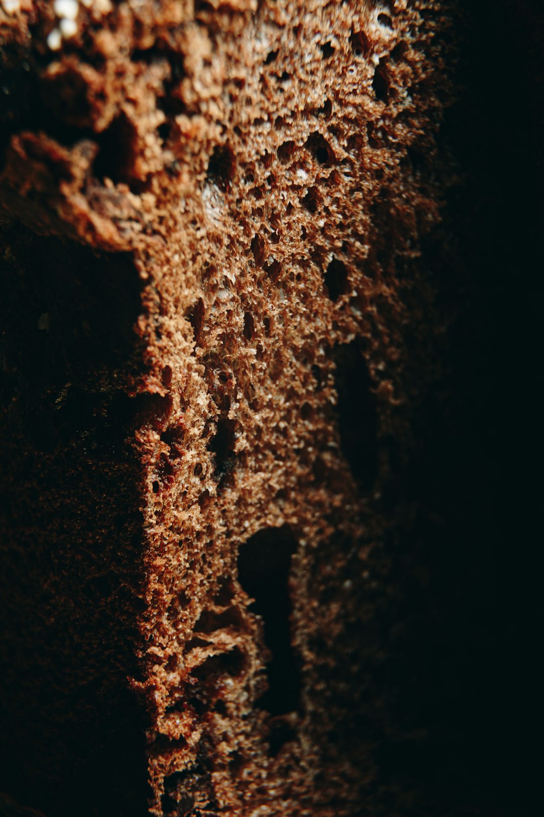 Managing Common Texture Problems (image credits: unsplash)