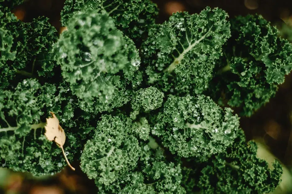 9. Leafy Greens: The Quietest Superstars on the Plate (Image Credits: Pexels)