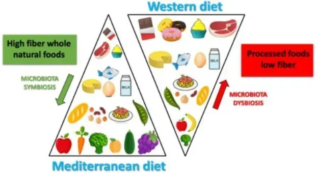The Mediterranean Diet Transformation (Image Credits: Wikimedia)