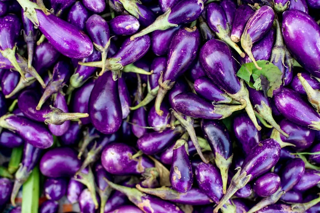 Fairytale Eggplant (Image Credits: Unsplash)