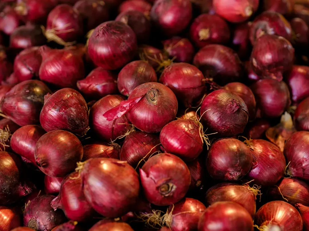 7. Raw Red Onion (Used Carelessly): An Assault on Every Other Flavor (Image Credits: Unsplash)
