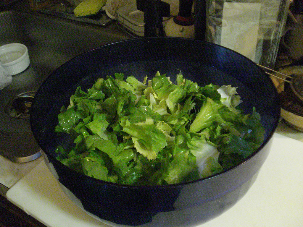 Lettuce - The Delicate Disaster (image credits: flickr)