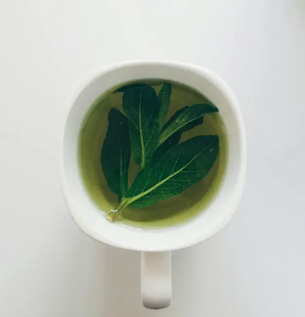 7. Green Tea: An Ancient Brew with Measurable Arterial Benefits (Image Credits: Pexels)