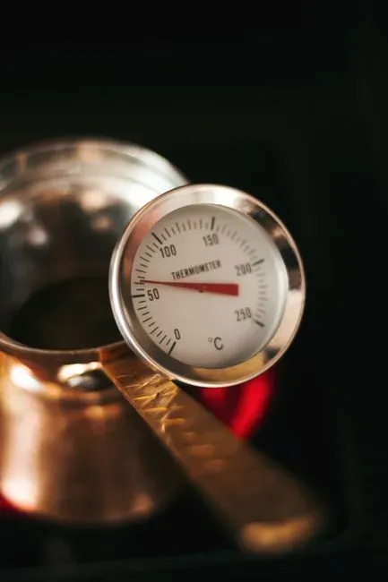 Knowing your oven's real temperature (Image Credits: Pexels)